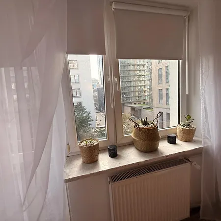 Sloth Nr 1